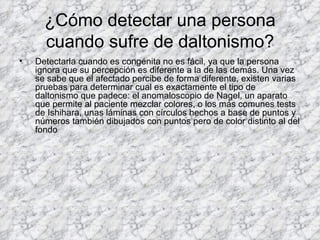 ¿Cómo detectar una persona
      cuando sufre de daltonismo?
•   Detectarla cuando es congénita no es fácil, ya que la persona
    ignora que su percepción es diferente a la de las demás. Una vez
    se sabe que el afectado percibe de forma diferente, existen varias
    pruebas para determinar cual es exactamente el tipo de
    daltonismo que padece: el anomaloscopio de Nagel, un aparato
    que permite al paciente mezclar colores, o los más comunes tests
    de Ishihara, unas láminas con círculos hechos a base de puntos y
    números también dibujados con puntos pero de color distinto al del
    fondo
 