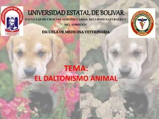 UNIVERSIDAD ESTATAL DE BOLIVAR
FACULTADDE CIENCIASAGROPECUARIAS,RECURSOSNATURALESY
DELAMBIENTE
ESCUELADEMEDICINAVETERINARIA
TEMA:
EL DALTONISMO ANIMAL
 