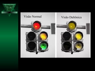 Visão Normal Visão Daltônica