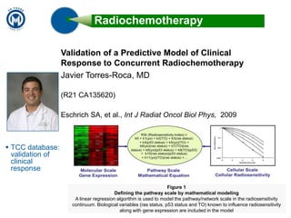  Comparative EffectivenessPatient View Personal Health Record