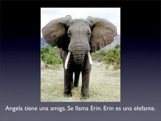 Angela tiene una amiga. Se llama Erin. Erin es una elefante.
 