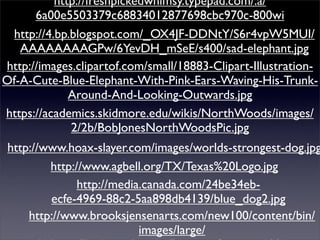 http://freshpickedwhimsy.typepad.com/.a/
      6a00e5503379c68834012877698cbc970c-800wi
 http://4.bp.blogspot.com/_OX4JF-DDNtY/S6r4vpW5MUI/
   AAAAAAAAGPw/6YevDH_mSeE/s400/sad-elephant.jpg
http://images.clipartof.com/small/18883-Clipart-Illustration-
Of-A-Cute-Blue-Elephant-With-Pink-Ears-Waving-His-Trunk-
             Around-And-Looking-Outwards.jpg
https://academics.skidmore.edu/wikis/NorthWoods/images/
             2/2b/BobJonesNorthWoodsPic.jpg
 http://www.hoax-slayer.com/images/worlds-strongest-dog.jpg
         http://www.agbell.org/TX/Texas%20Logo.jpg
               http://media.canada.com/24be34eb-
         ecfe-4969-88c2-5aa898db4139/blue_dog2.jpg
     http://www.brooksjensenarts.com/new100/content/bin/
                           images/large/
 
