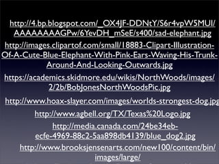 http://4.bp.blogspot.com/_OX4JF-DDNtY/S6r4vpW5MUI/
   AAAAAAAAGPw/6YevDH_mSeE/s400/sad-elephant.jpg
http://images.clipartof.com/small/18883-Clipart-Illustration-
Of-A-Cute-Blue-Elephant-With-Pink-Ears-Waving-His-Trunk-
            Around-And-Looking-Outwards.jpg
https://academics.skidmore.edu/wikis/NorthWoods/images/
             2/2b/BobJonesNorthWoodsPic.jpg
 http://www.hoax-slayer.com/images/worlds-strongest-dog.jpg
         http://www.agbell.org/TX/Texas%20Logo.jpg
               http://media.canada.com/24be34eb-
         ecfe-4969-88c2-5aa898db4139/blue_dog2.jpg
     http://www.brooksjensenarts.com/new100/content/bin/
                           images/large/
 