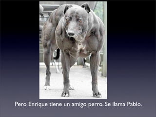 Pero Enrique tiene un amigo perro. Se llama Pablo.
 