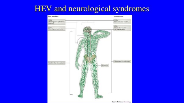 Clinical Aspects Of Hepatitis E Virus Infection