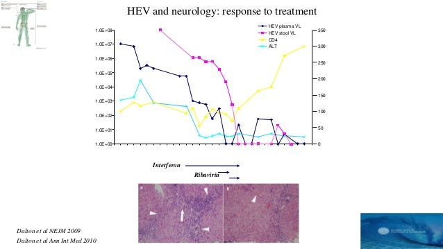 hepatitis a transmission mode