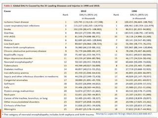 Disability Adjusted Life Years | PPTX