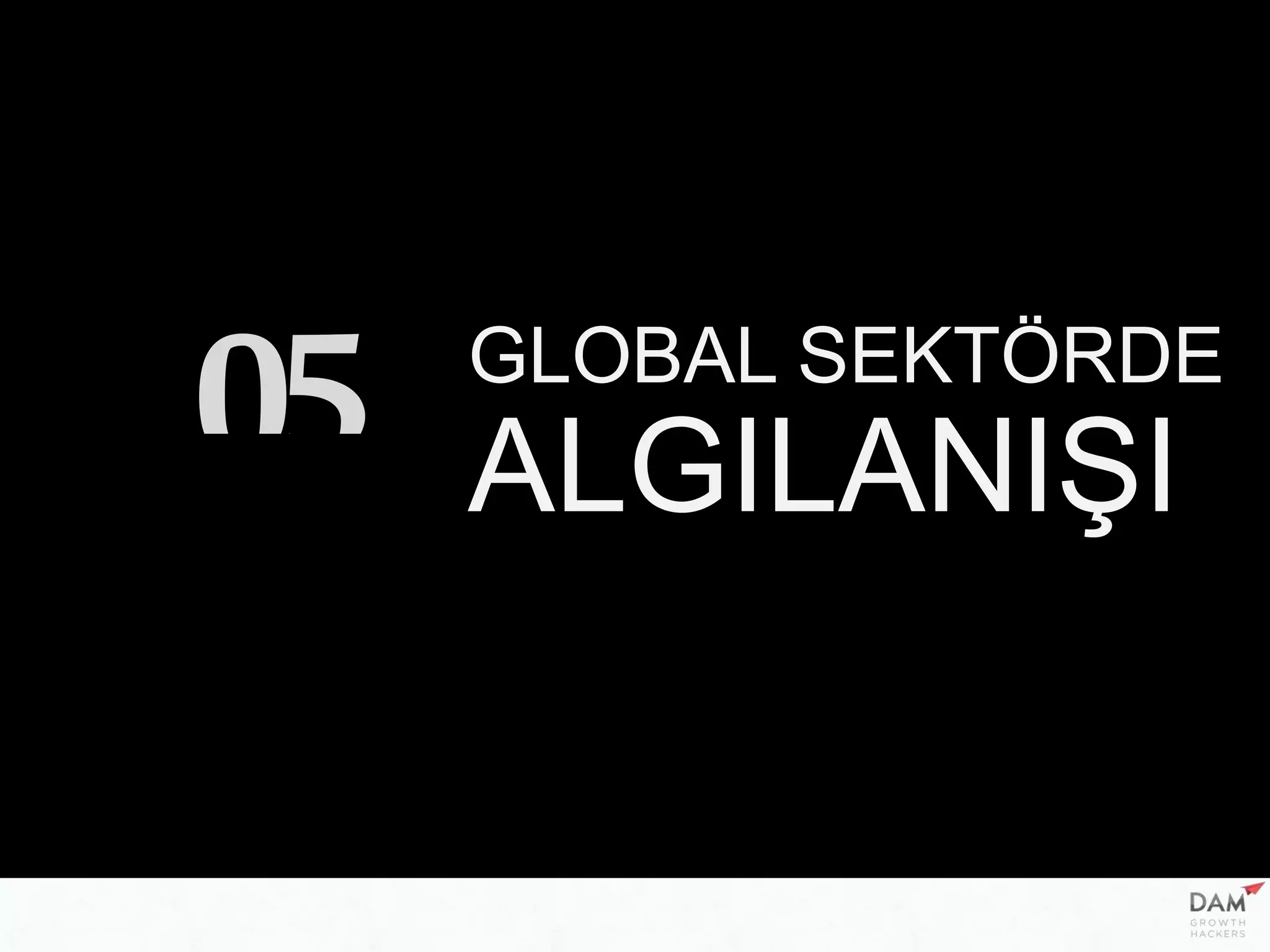 GLOBAL SEKTÖRDE
ALGILANIŞI05
 