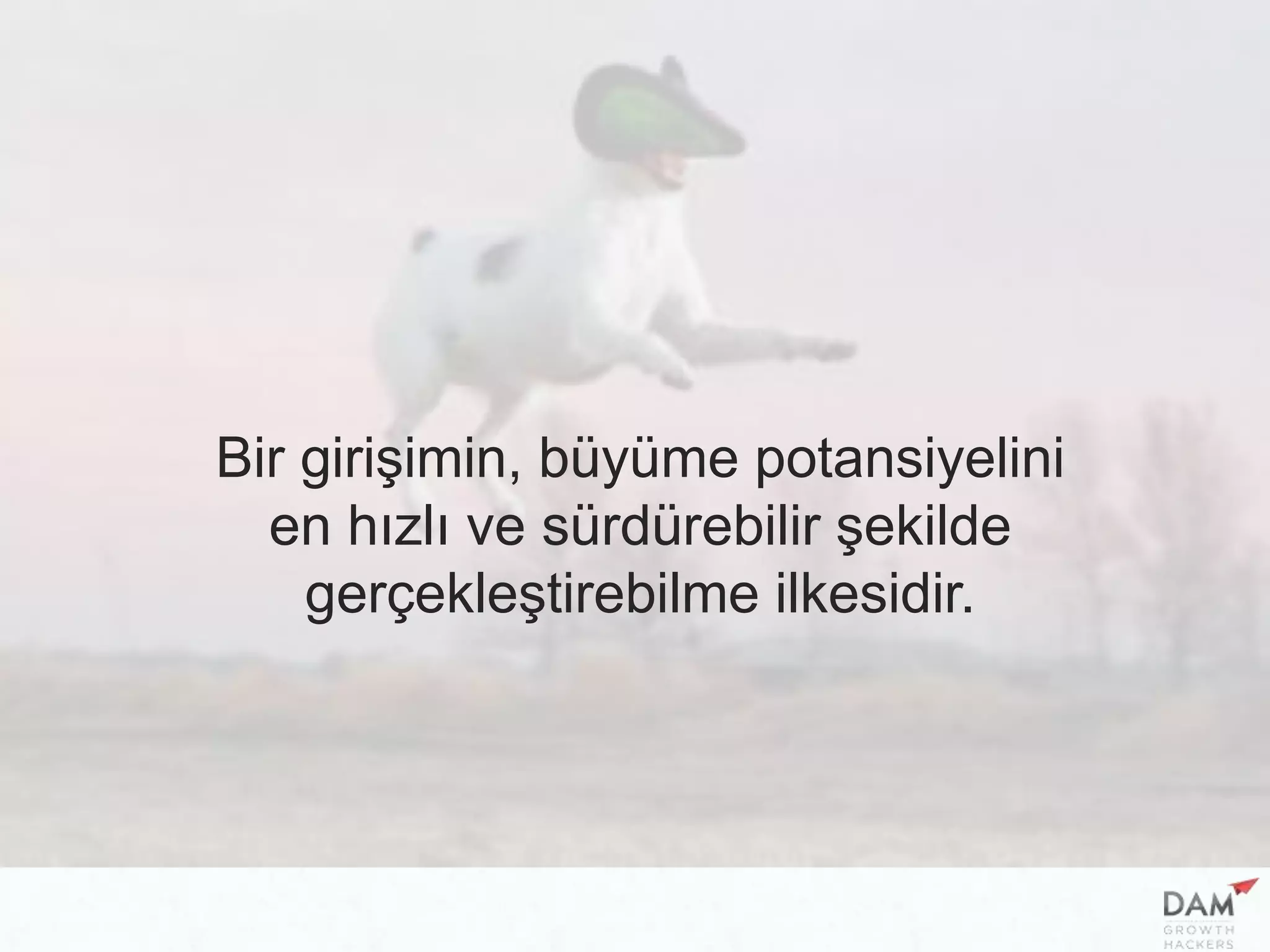 Bir girişimin, büyüme potansiyelini
en hızlı ve sürdürebilir şekilde
gerçekleştirebilme ilkesidir.
 