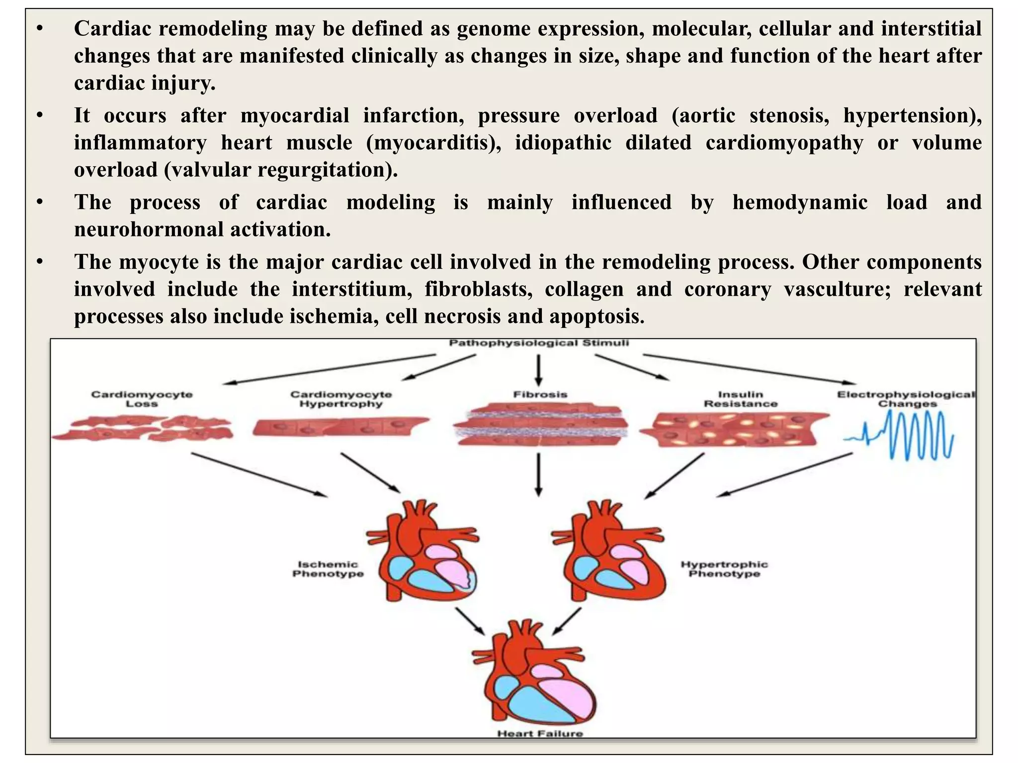• Cardiac remodeling may be defined as genome expression, molecular, cellular and interstitial
changes that are manifested clinically as changes in size, shape and function of the heart after
cardiac injury.
• It occurs after myocardial infarction, pressure overload (aortic stenosis, hypertension),
inflammatory heart muscle (myocarditis), idiopathic dilated cardiomyopathy or volume
overload (valvular regurgitation).
• The process of cardiac modeling is mainly influenced by hemodynamic load and
neurohormonal activation.
• The myocyte is the major cardiac cell involved in the remodeling process. Other components
involved include the interstitium, fibroblasts, collagen and coronary vasculture; relevant
processes also include ischemia, cell necrosis and apoptosis.
 