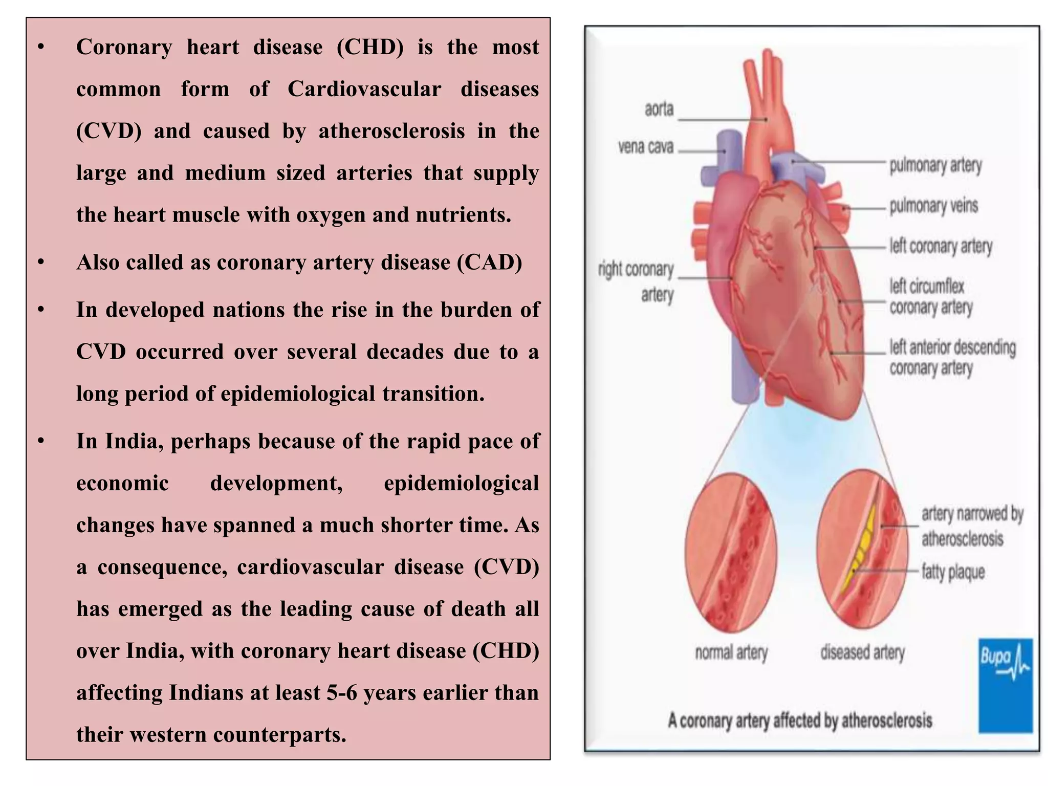 • Coronary heart disease (CHD) is the most
common form of Cardiovascular diseases
(CVD) and caused by atherosclerosis in the
large and medium sized arteries that supply
the heart muscle with oxygen and nutrients.
• Also called as coronary artery disease (CAD)
• In developed nations the rise in the burden of
CVD occurred over several decades due to a
long period of epidemiological transition.
• In India, perhaps because of the rapid pace of
economic development, epidemiological
changes have spanned a much shorter time. As
a consequence, cardiovascular disease (CVD)
has emerged as the leading cause of death all
over India, with coronary heart disease (CHD)
affecting Indians at least 5-6 years earlier than
their western counterparts.
 