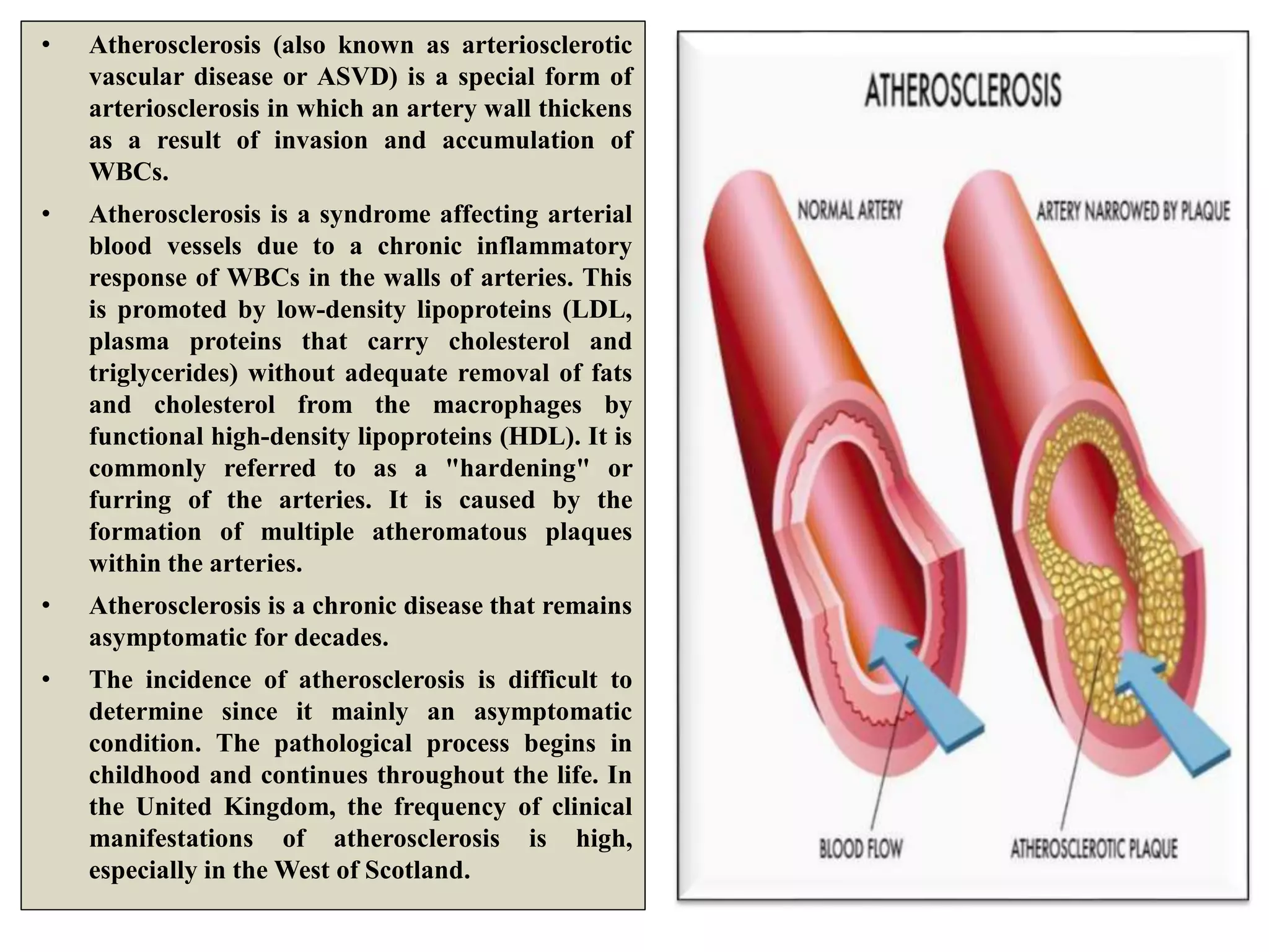 • Atherosclerosis (also known as arteriosclerotic
vascular disease or ASVD) is a special form of
arteriosclerosis in which an artery wall thickens
as a result of invasion and accumulation of
WBCs.
• Atherosclerosis is a syndrome affecting arterial
blood vessels due to a chronic inflammatory
response of WBCs in the walls of arteries. This
is promoted by low-density lipoproteins (LDL,
plasma proteins that carry cholesterol and
triglycerides) without adequate removal of fats
and cholesterol from the macrophages by
functional high-density lipoproteins (HDL). It is
commonly referred to as a "hardening" or
furring of the arteries. It is caused by the
formation of multiple atheromatous plaques
within the arteries.
• Atherosclerosis is a chronic disease that remains
asymptomatic for decades.
• The incidence of atherosclerosis is difficult to
determine since it mainly an asymptomatic
condition. The pathological process begins in
childhood and continues throughout the life. In
the United Kingdom, the frequency of clinical
manifestations of atherosclerosis is high,
especially in the West of Scotland.
 