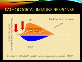 PATHOLOGICAL IMMUNE RESPONSE
Systemic
Response
SIRS
CARS
Adaptive Immune
Response
Insult
Moderate to severe injury
Pro-inflammatory
Anti-inflammatory
Imbalanced SIRS>CARS leads to hyper-inflammation or delayed MODS
Innate Immune
Response
2
nd
Hit
 