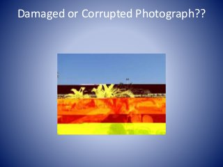 Damaged or Corrupted Photograph??
 