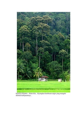 hijaunya hutanku....hutan kita....bayangkan hembusan angin yang mengalir
diantara kehijauannya...
 
