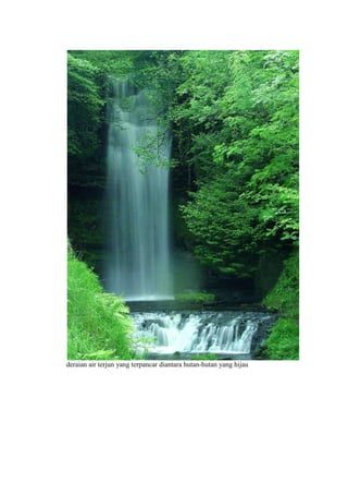 deraian air terjun yang terpancar diantara hutan-hutan yang hijau
 