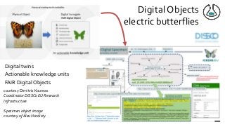 Digital Objects
electric butterflies
Digital twins
Actionable knowledge units
FAIR Digital Objects
courtesy Dimitris Koureas
Coordinator DiSSCo EU Research
Infrastructure
Specimen object image
courtesy of Alex Hardisty
 