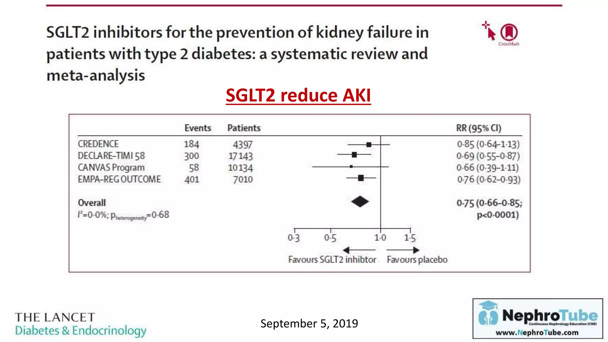 SGLT2-i, DPP4-i & Incretin Mimetics (Optimizing their use in CKD ...
