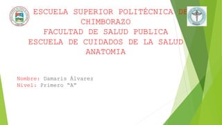 ESCUELA SUPERIOR POLITÉCNICA DE
CHIMBORAZO
FACULTAD DE SALUD PUBLICA
ESCUELA DE CUIDADOS DE LA SALUD
ANATOMIA
Nombre: Damaris Álvarez
Nivel: Primero “A”
 