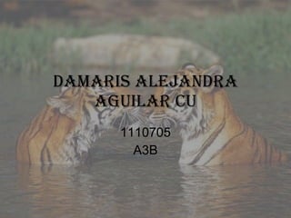 DAMARIS ALEJANDRA AGUILAR CU 1110705 A3B 