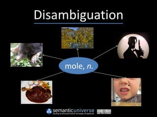 Disambiguation


    mole, n.
 