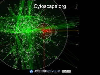 Cytoscape.org
 