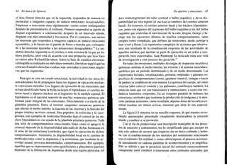 Timulo Damasio Antonio - En Busca De Spinoza.pdf
