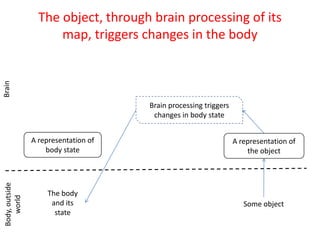 Simplified view of Damasio's model of consciousness: The protoself