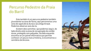 Percurso Pedestre da Praia
do Barril
Este também é um percurso pedestre também
já existente na zona deTavira, aqui percorremos uma
zona de sapal até às dunas e ao antigo Arraial.
Podemos observar aves da ria.
Existem dois caminhos que podemos seguir, do
lado direito está na área de recuperação do cordão
dunar, protegido com paliçadas. Do lado esquerdo
encontra-se um painel informativo que permite
conhecer um pouco mais a história, e encontramos o
cemitério de âncoras.
 