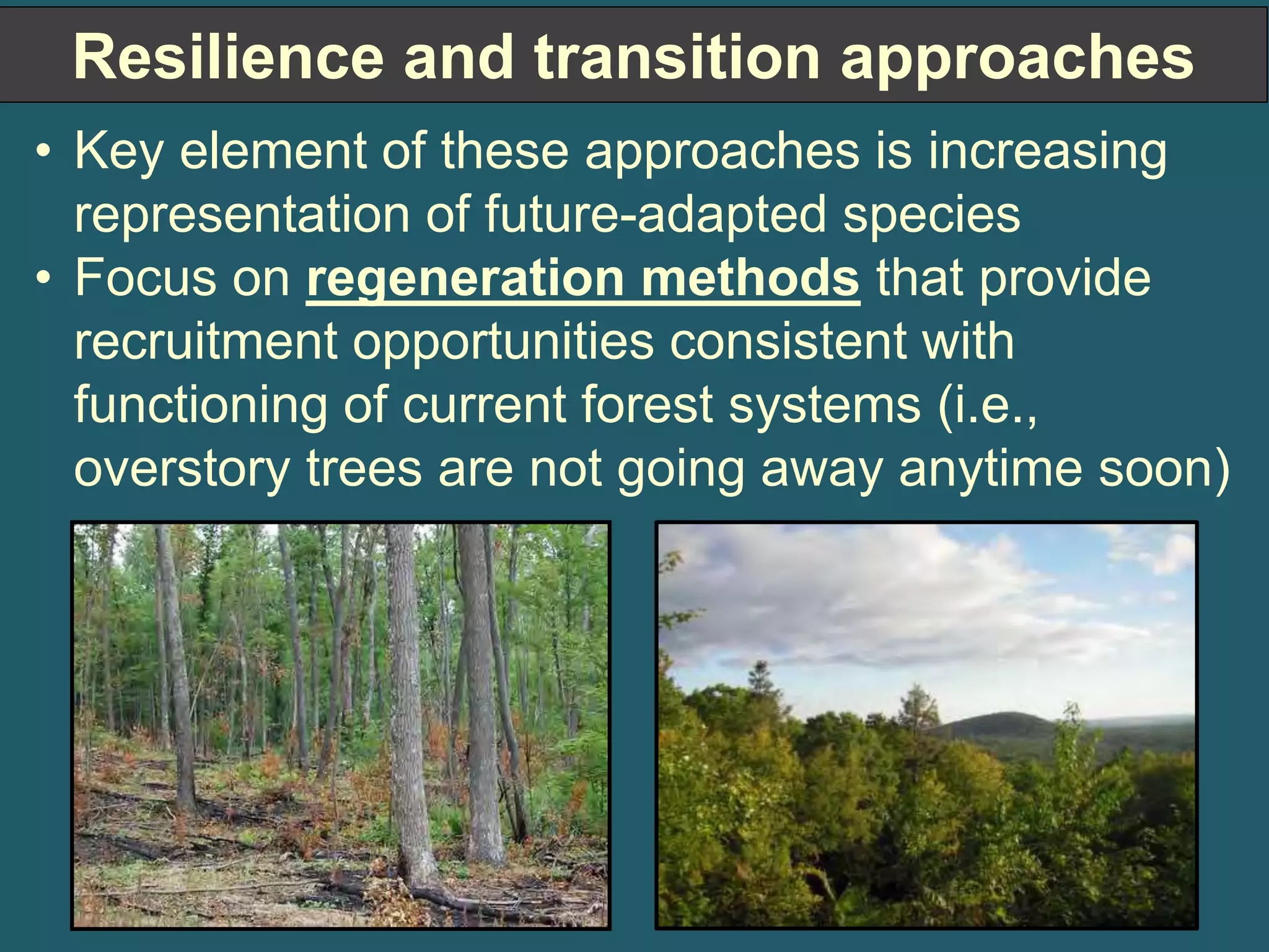 Resilience and transition approaches 
• Key element of these approaches is increasing 
representation of future-adapted species 
• Focus on regeneration methods that provide 
recruitment opportunities consistent with 
functioning of current forest systems (i.e., 
overstory trees are not going away anytime soon) 
 