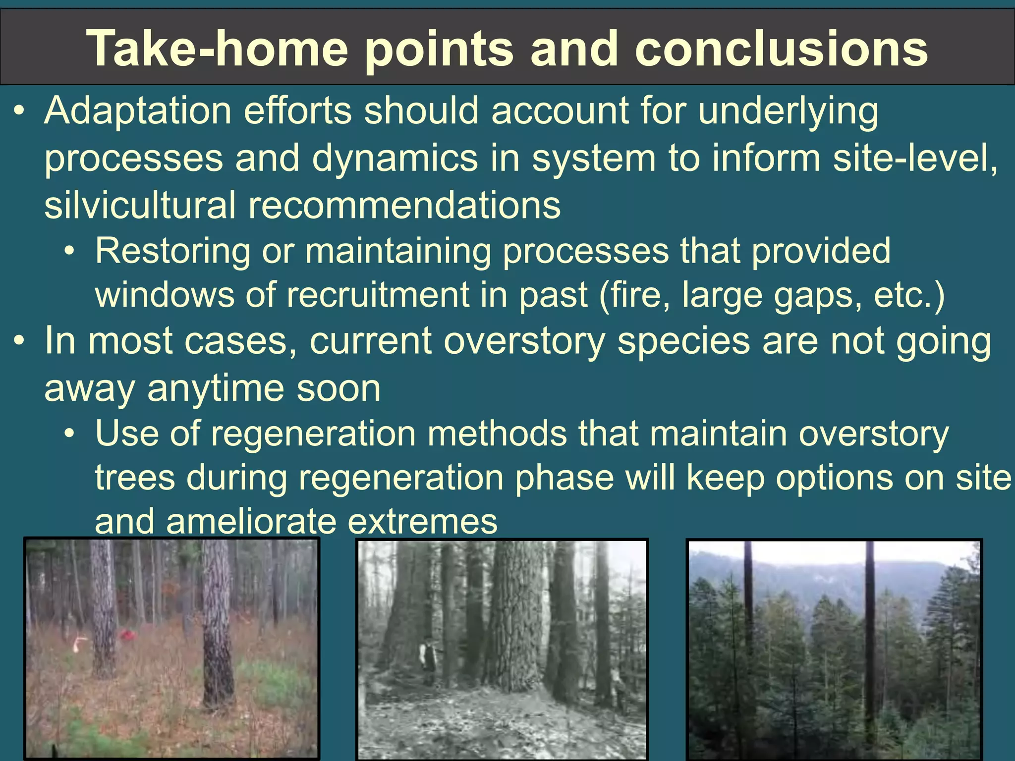 Take-home points and conclusions 
• Adaptation efforts should account for underlying 
processes and dynamics in system to inform site-level, 
silvicultural recommendations 
• Restoring or maintaining processes that provided 
windows of recruitment in past (fire, large gaps, etc.) 
• In most cases, current overstory species are not going 
away anytime soon 
• Use of regeneration methods that maintain overstory 
trees during regeneration phase will keep options on site 
and ameliorate extremes 
 