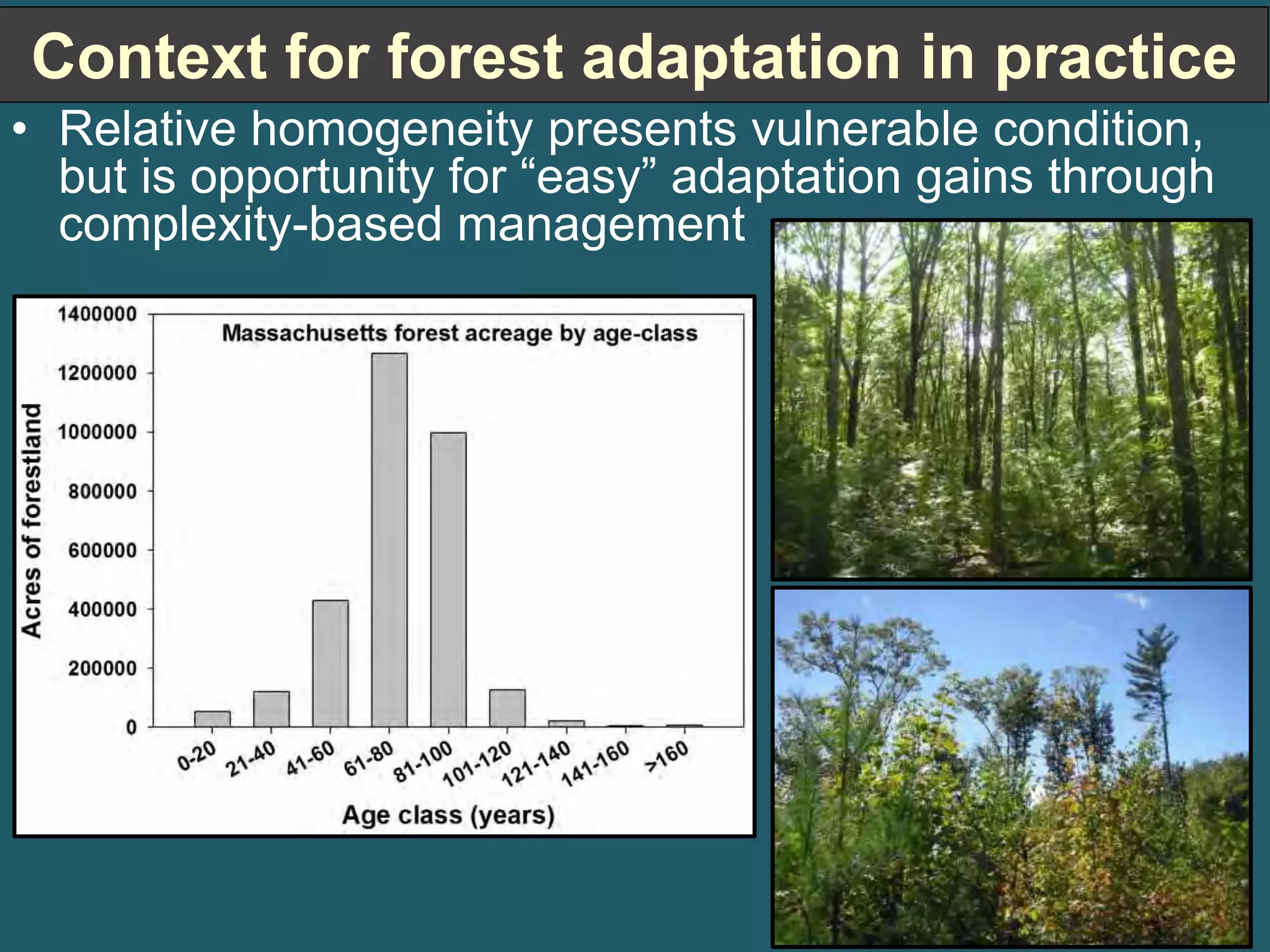 Context for forest adaptation in practice 
• Relative homogeneity presents vulnerable condition, 
but is opportunity for “easy” adaptation gains through 
complexity-based management 
 