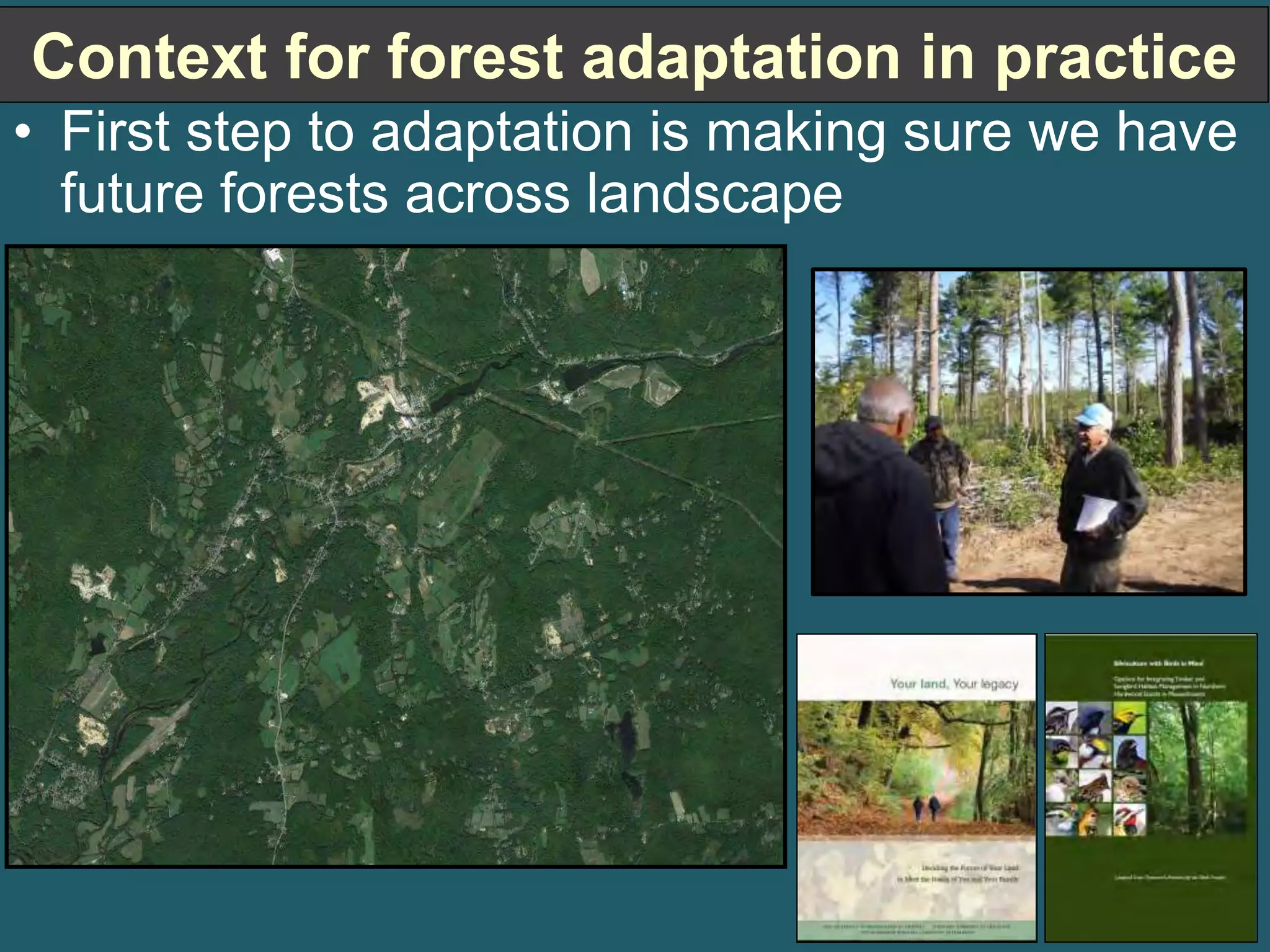 Context for forest adaptation in practice 
• First step to adaptation is making sure we have 
future forests across landscape 
 