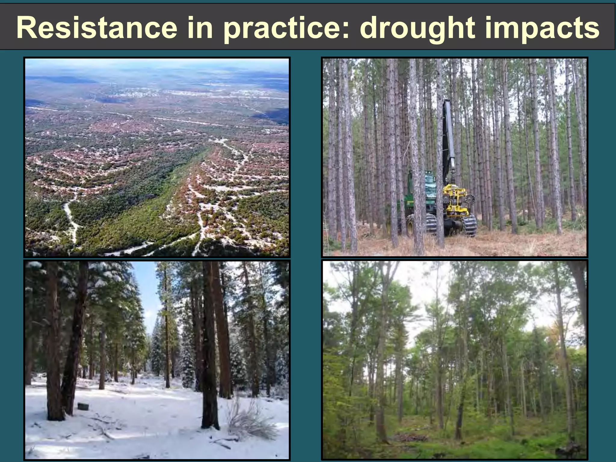 Resistance in practice: drought impacts 
 