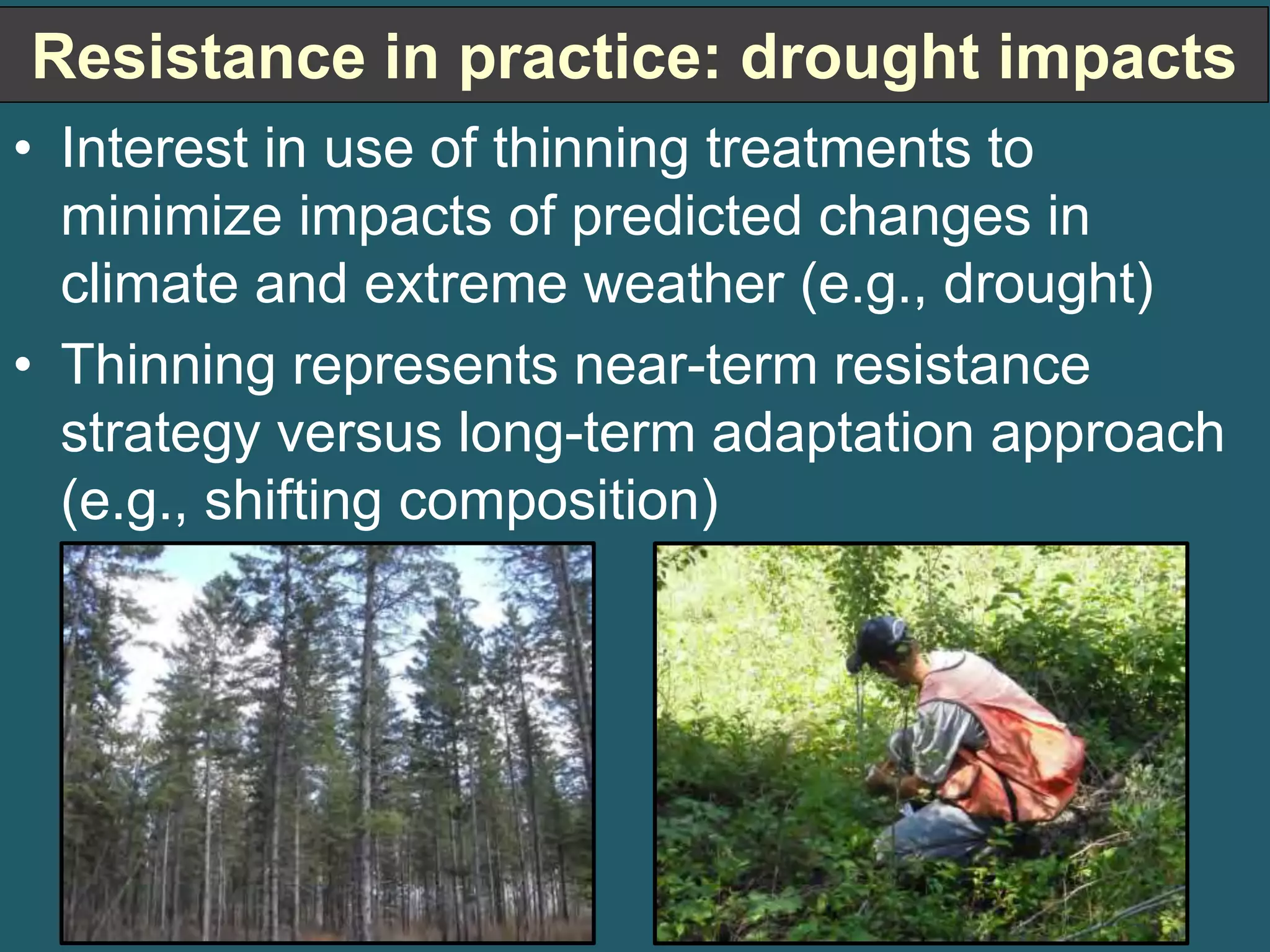 Resistance in practice: drought impacts 
• Interest in use of thinning treatments to 
minimize impacts of predicted changes in 
climate and extreme weather (e.g., drought) 
• Thinning represents near-term resistance 
strategy versus long-term adaptation approach 
(e.g., shifting composition) 
 