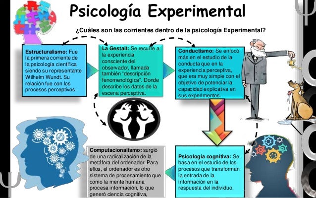Fundamentos teóricos de la psicología Experimental.