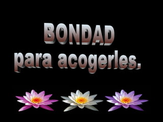BONDAD para acogerles.