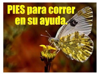 PIES para correr en su ayuda.