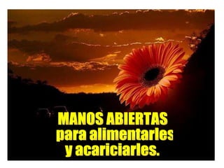 MANOS ABIERTAS  para alimentarles  y acariciarles. 