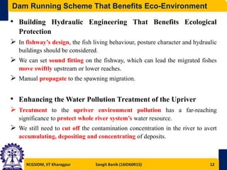 Impact of Building Dam on River Ecosystem and Its Preventive Measures ...