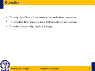 Impact of Building Dam on River Ecosystem and Its Preventive Measures ...