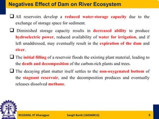 Impact of Building Dam on River Ecosystem and Its Preventive Measures ...