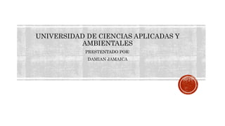 UNIVERSIDAD DE CIENCIAS APLICADAS Y 
AMBIENTALES 
PRESTENTADO POR: 
DAMIAN JAMAICA 
 