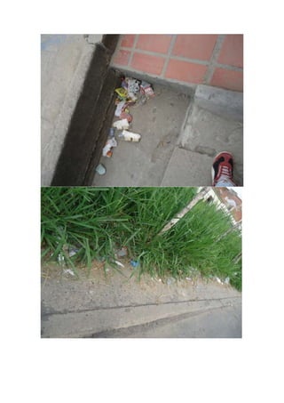 CONCIENCIA AMBIENTAL OCAÑA 