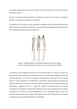 7	
en position statique tel le genu varum ou valgum, et des mouvements de varus/valgus en phase
dynamique (figure 3).
De plus, l’articulation fémoro-patellaire, articulation du genou, relie le fémur à la patella et
permet les mouvements de flexion et d’extension.
L’articulation de la cheville est une articulation trochléenne reliant l’extrémité inférieure du
tibia, la fibula et le talus. Elle est limitée aux mouvements de flexion plantaire, pouvant atteindre
40°, et de flexion dorsale, pouvant atteindre 25°.
L’articulation sous-astragalienne présente des mouvements dans les 3 plans de l’espace. De
plus, cette articulation ajoute le mouvement d’inversion, association entre supination, adduction
et flexion plantaire ; et d’éversion, association entre pronation, abduction et flexion dorsale
(figure 4). Cette articulation est stabilisatrice. L’articulation médio-tarsienne de Chopard (ou
transverse du tarse) se situe entre les tarses postérieur et antérieur. Cette articulation permet des
mouvements complexes dans les 3 plans de l’espace (éversion/inversion), permettant
l’orientation et l’adaptation du pied (effet stabilisateur) ainsi que la propulsion de ce dernier.
L’articulation de Lisfranc ou tarso-métatarsienne, est une articulation liant le tarse et le
métatarse, permettant des mouvements de flexion/extension et d’éversion/inversion, favorisant
la propulsion, mais plus particulièrement la stabilisation.
Figure 3 : Représentation d’un membre inferieur droit ; genu valgum
(valgus) (a), physiologique (b), genu varum (varus) (c) (Laurent, 2003)
 