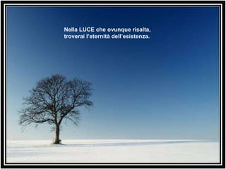 Nella LUCE che ovunque risalta, troverai l’eternità dell’esistenza. 