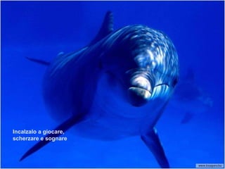 Incalzalo a giocare, scherzare e sognare 