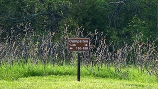 UI… UX…
What exactly are they?
 