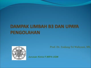 Prof. Dr. Endang Tri Wahyuni, MS.
Jurusan Kimia F.MIPA UGM
 