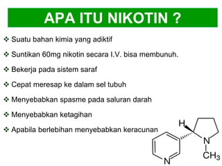 APA ITU NIKOTIN ?
 Suatu bahan kimia yang adiktif
 Suntikan 60mg nikotin secara I.V. bisa membunuh.
 Bekerja pada sistem saraf
 Cepat meresap ke dalam sel tubuh
 Menyebabkan spasme pada saluran darah
 Menyebabkan ketagihan
 Apabila berlebihan menyebabkan keracunan
 